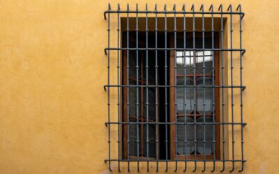 window guards on a window