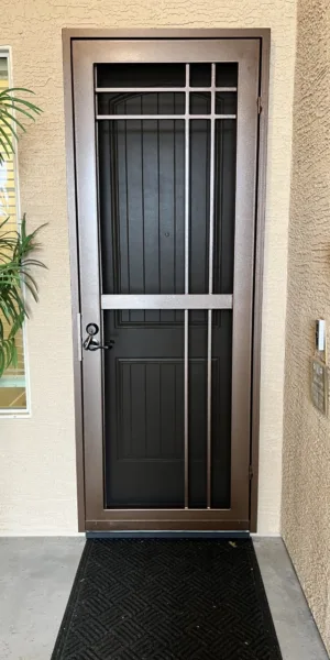 Ultra View Design - Single Security Screen Door - Steel Advantage - Phoenix, AZ