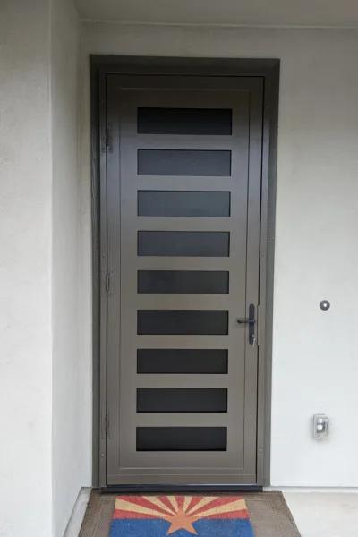 Ladder Design - Single Steel Security Screen Door - Steel Advantage - Phoenix, AZ