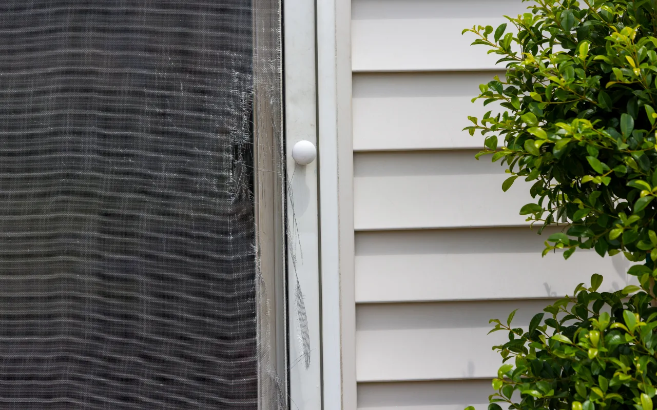 damaged screen door
