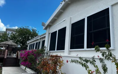 burglar proof windows