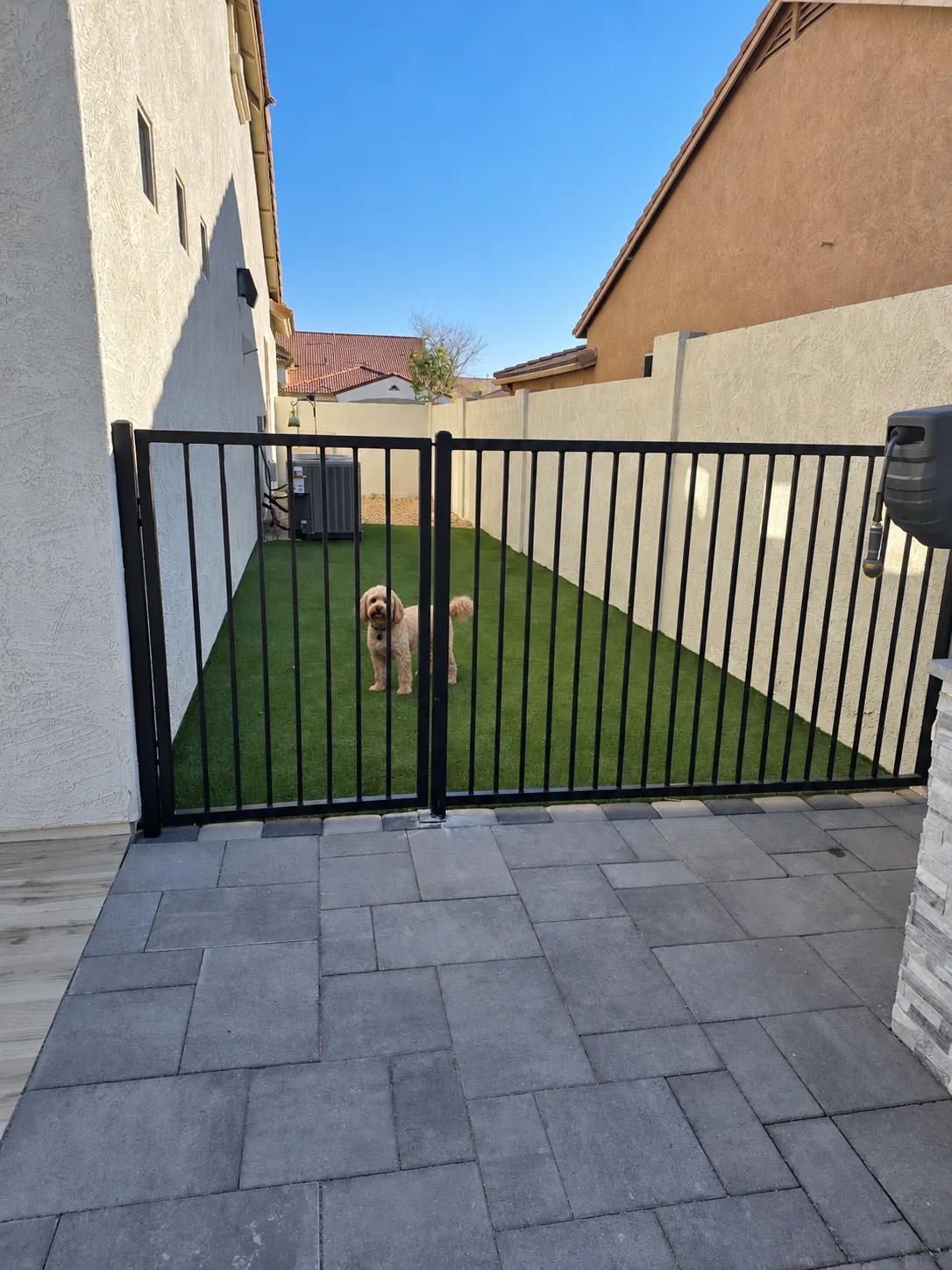 outdoor dog gate